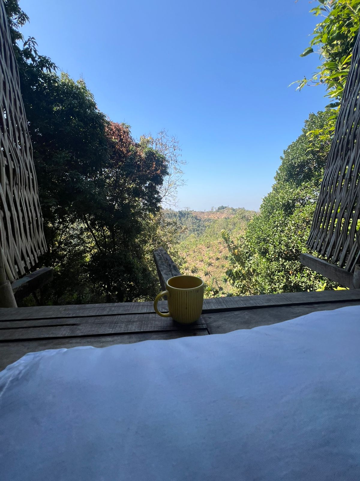 Window view at the eco village
